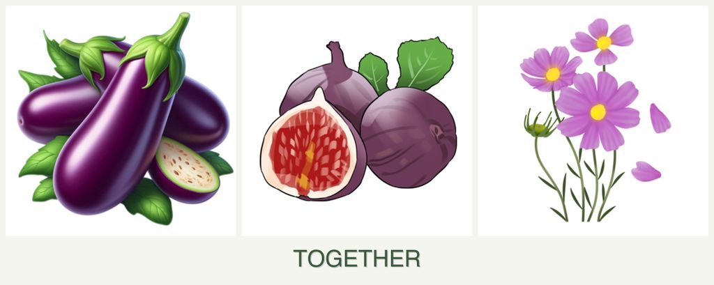 Can you plant eggplant, figs and cosmos together?