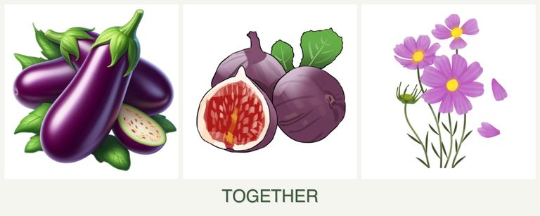 Can you plant eggplant, figs and cosmos together?
