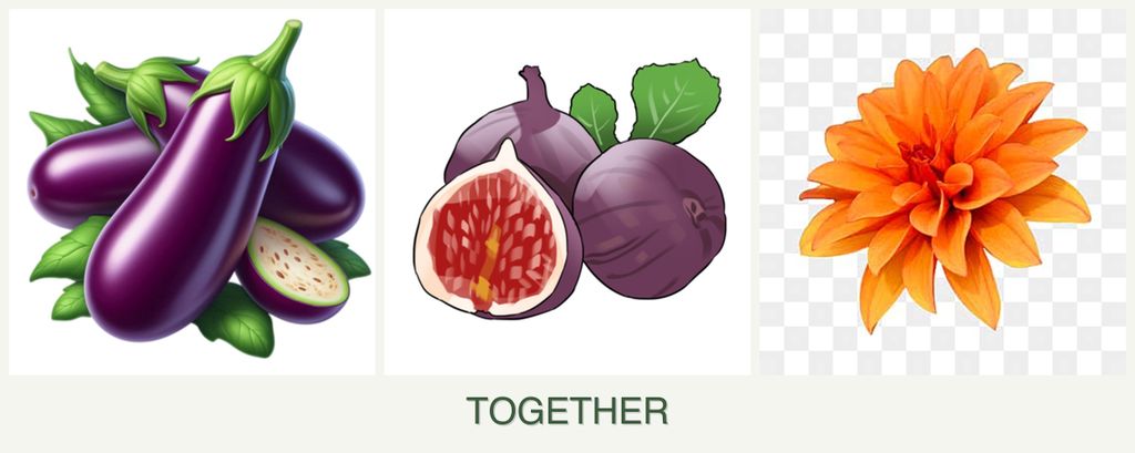 Can you plant eggplant, figs and dahlias together?