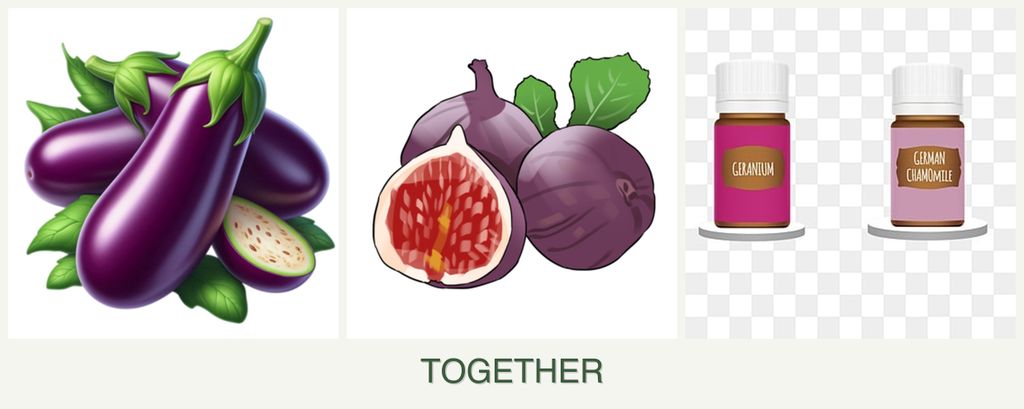 Can you plant eggplant, figs and geraniums together?