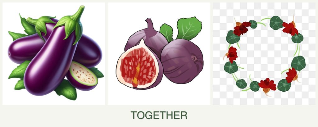Can you plant eggplant, figs and nasturtiums together?