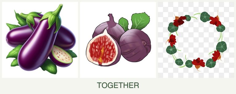 Can you plant eggplant, figs and nasturtiums together?