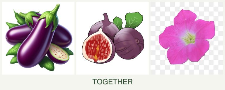 Can you plant eggplant, figs and petunias together?
