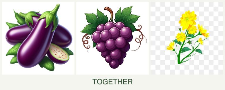 Can you plant eggplant, grapes and calendula together?