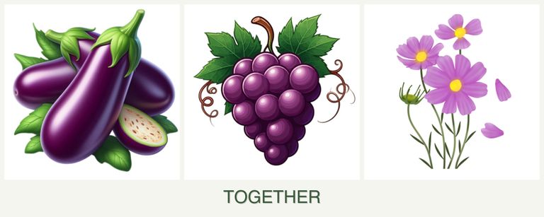 Can you plant eggplant, grapes and cosmos together?