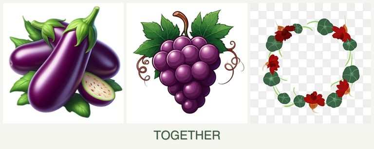 Can you plant eggplant, grapes and nasturtiums together?