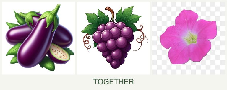 Can you plant eggplant, grapes and petunias together?