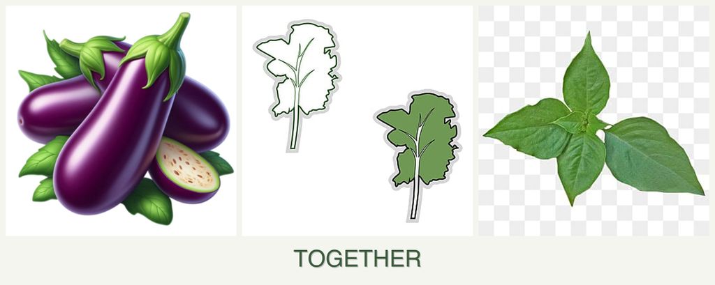 Can you plant eggplant, kale and basil together?