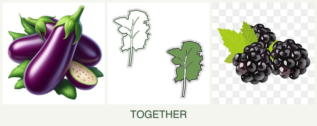 Can you plant eggplant, kale and blackberries together?