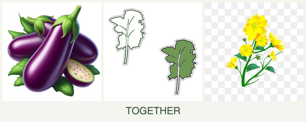 Can you plant eggplant, kale and calendula together?