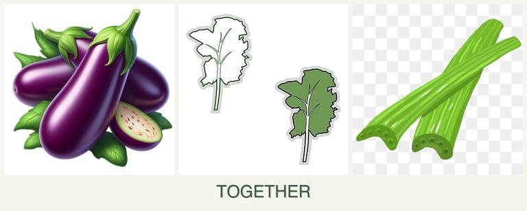Can you plant eggplant, kale and celery together?