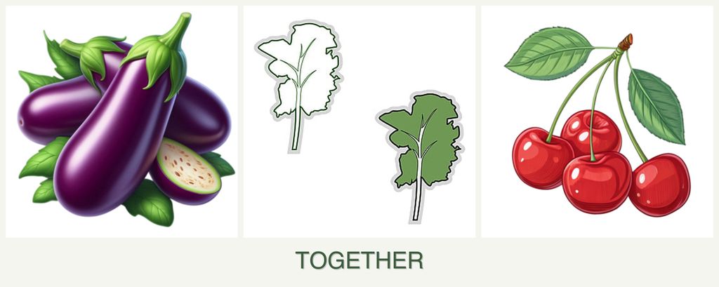 Can you plant eggplant, kale and cherries together?