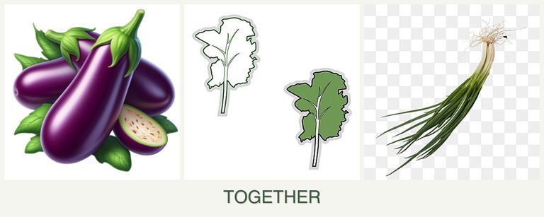 Can you plant eggplant, kale and chives together?