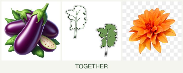 Can you plant eggplant, kale and dahlias together?