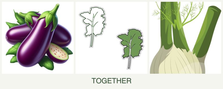 Can you plant eggplant, kale and fennel together?