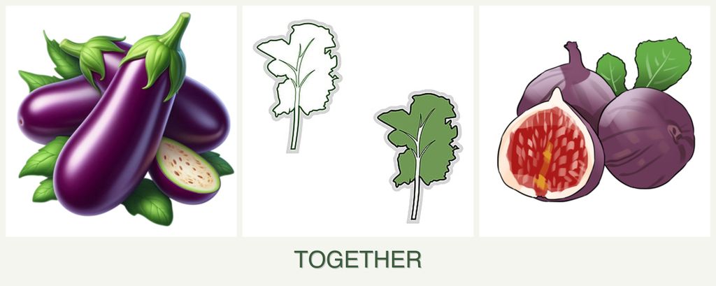 Can you plant eggplant, kale and figs together?