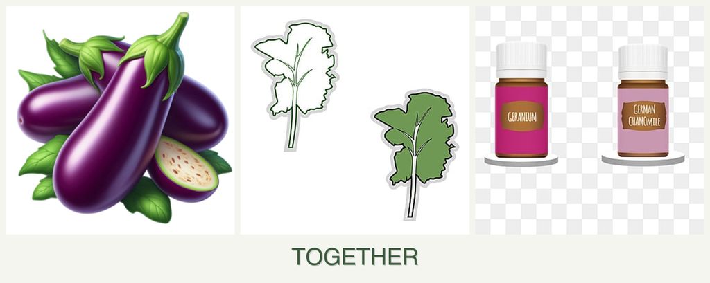 Can you plant eggplant, kale and geraniums together?