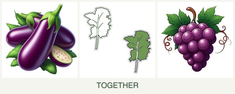 Can you plant eggplant, kale and grapes together?