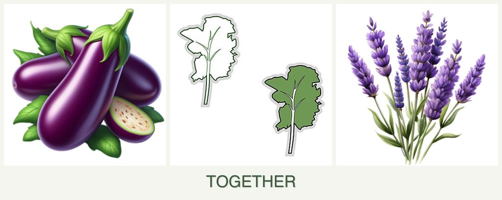 Can you plant eggplant, kale and lavender together?