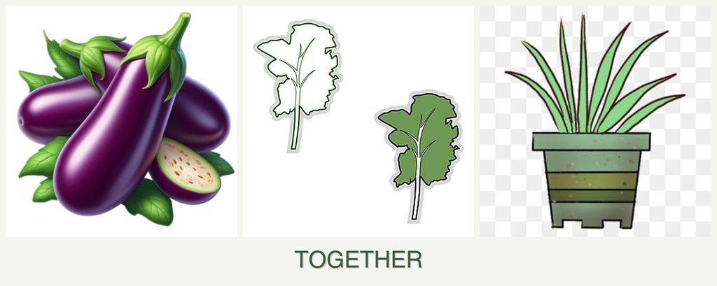 Can you plant eggplant, kale and lemongrass together?