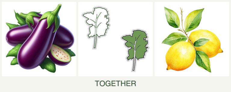Can you plant eggplant, kale and lemons together?