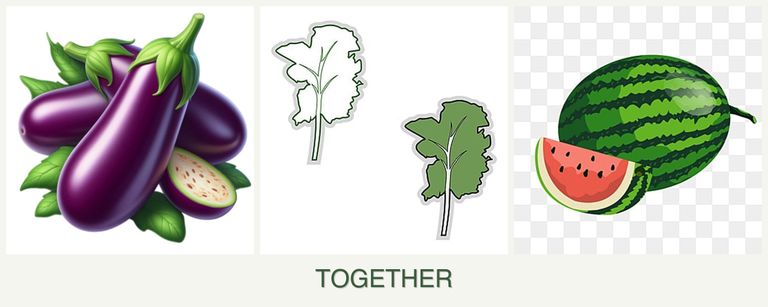 Can you plant eggplant, kale and melons together?