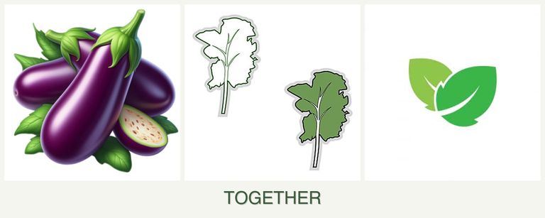 Can you plant eggplant, kale and mint together?