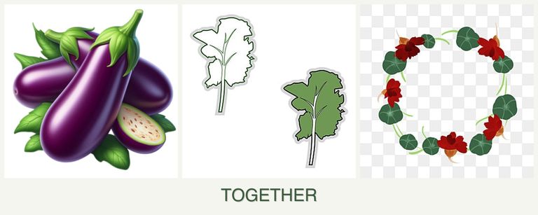Can you plant eggplant, kale and nasturtiums together?