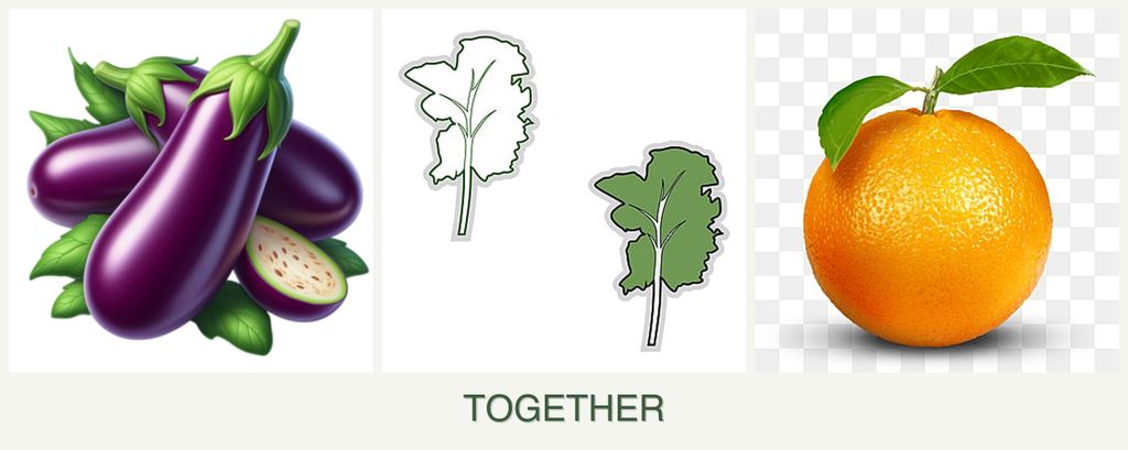 Can you plant eggplant, kale and oranges together?