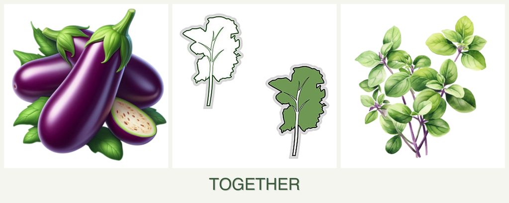 Can you plant eggplant, kale and oregano together?