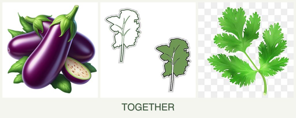 Can you plant eggplant, kale and parsley together?