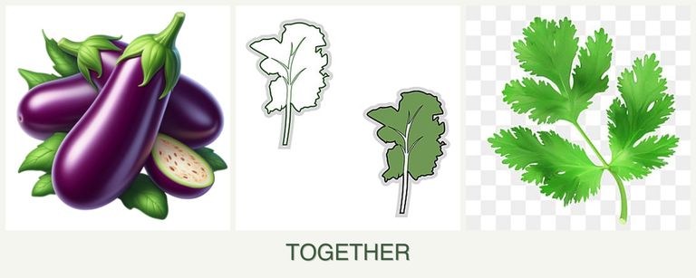 Can you plant eggplant, kale and parsley together?