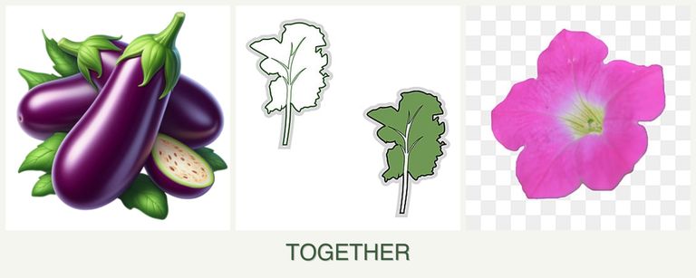 Can you plant eggplant, kale and petunias together?