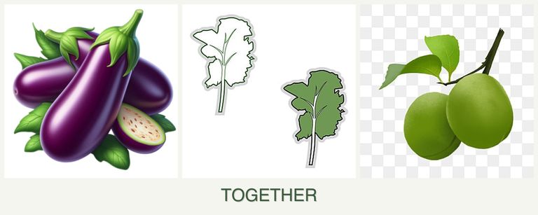 Can you plant eggplant, kale and plums together?