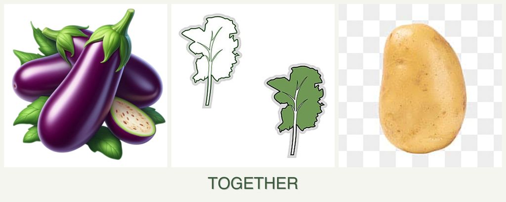 Can you plant eggplant, kale and potatoes together?