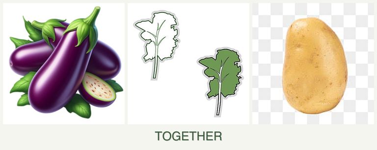 Can you plant eggplant, kale and potatoes together?