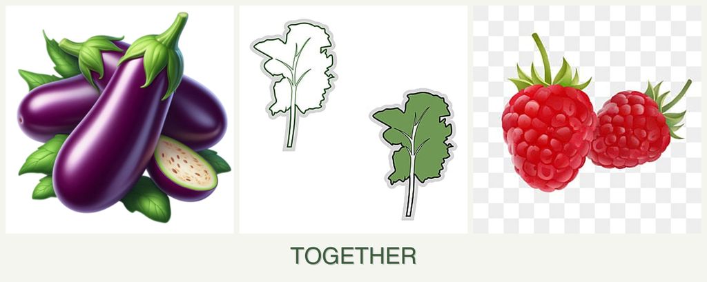Can you plant eggplant, kale and raspberries together?