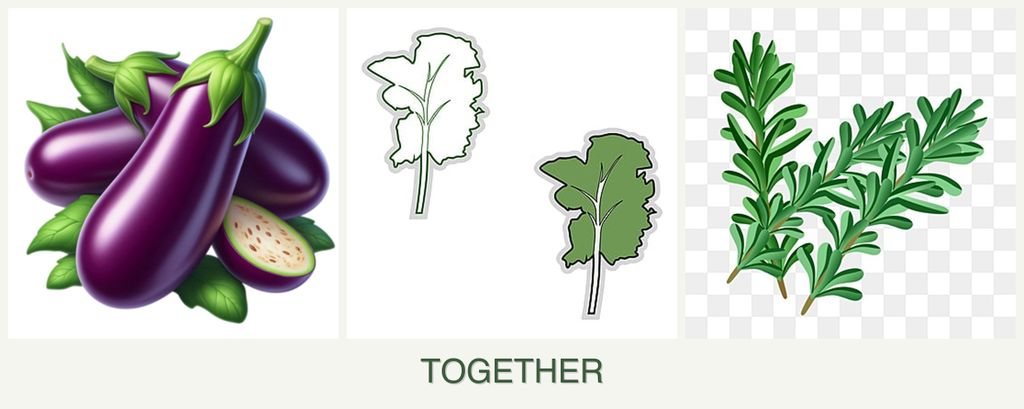 Can you plant eggplant, kale and rosemary together?