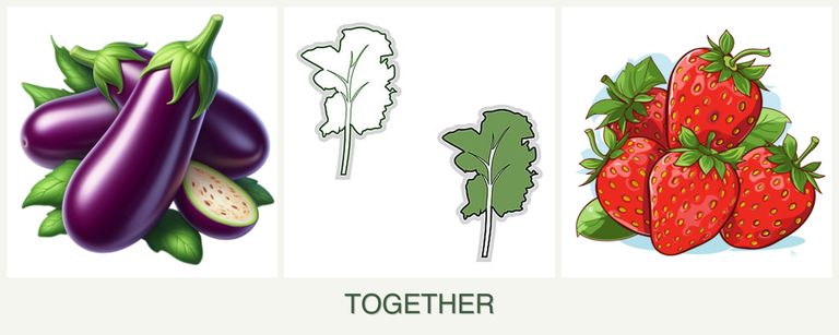 Can you plant eggplant, kale and strawberries together?