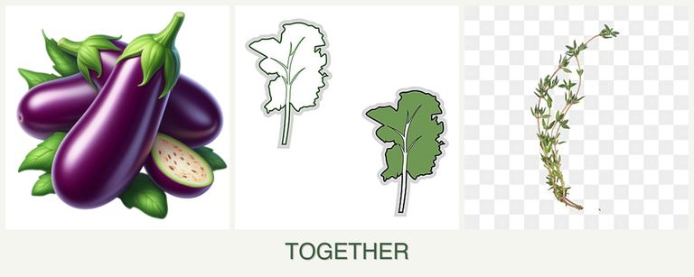 Can you plant eggplant, kale and thyme together?