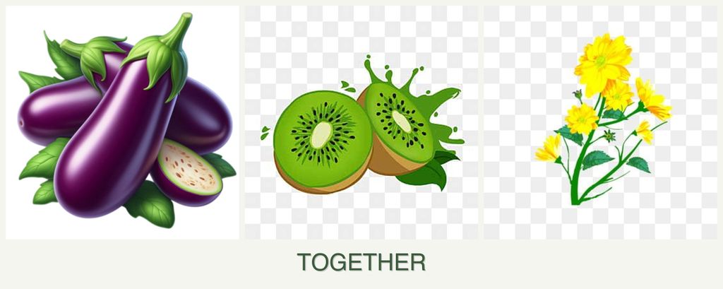 Can you plant eggplant, kiwi and calendula together?