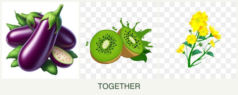 Can you plant eggplant, kiwi and calendula together?