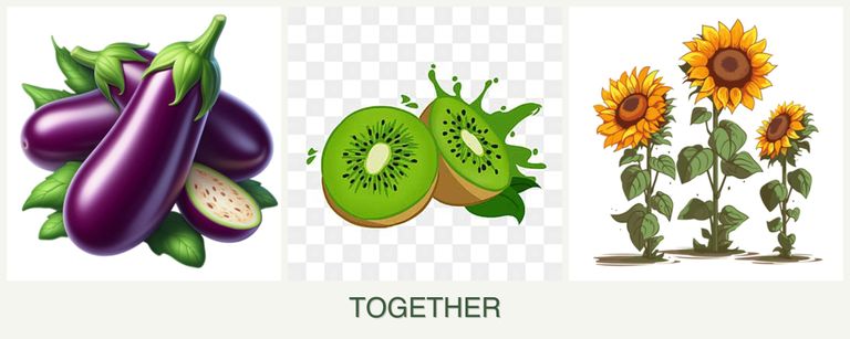 Can you plant eggplant, kiwi and sunflowers together?