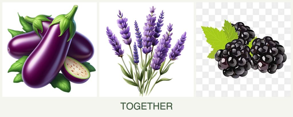 Can you plant eggplant, lavender and blackberries together?