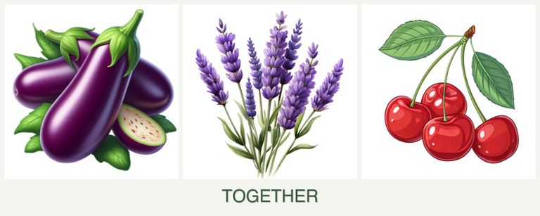 Can you plant eggplant, lavender and cherries together?