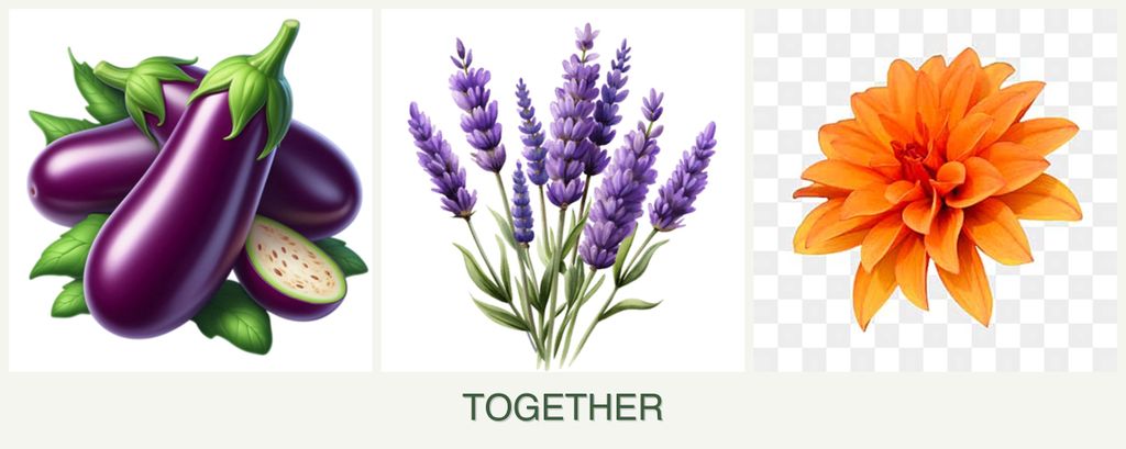 Can you plant eggplant, lavender and dahlias together?