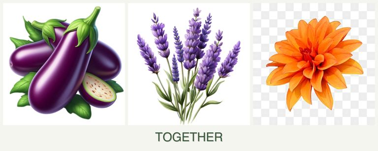 Can you plant eggplant, lavender and dahlias together?