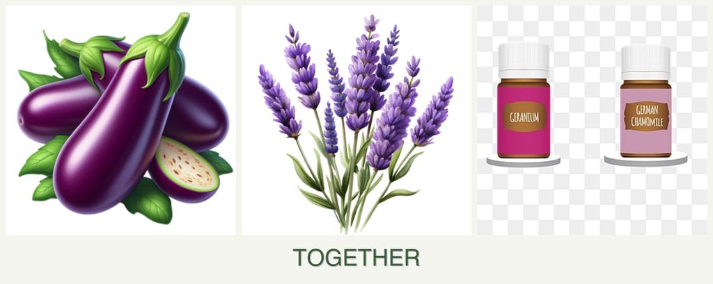 Can you plant eggplant, lavender and geraniums together?