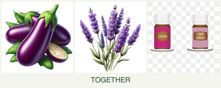 Can you plant eggplant, lavender and geraniums together?