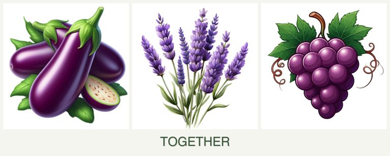 Can you plant eggplant, lavender and grapes together?